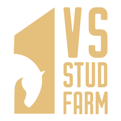 VS Stud Farm